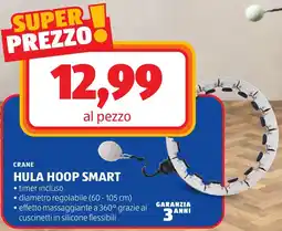 ALDI Crane hula hoop smart offerta