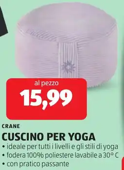 ALDI Crane cuscino per yoga offerta