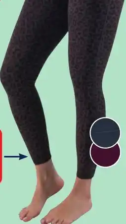 ALDI Crane pantaloni da yoga per donna offerta