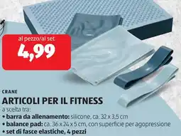ALDI Crane articoli per il fitness offerta