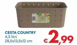 MD Discount Natural style cesta country offerta