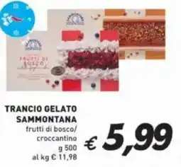 Coal Trancio gelato SAMMONTANA offerta