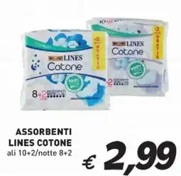 Coal Assorbenti lines cotone offerta