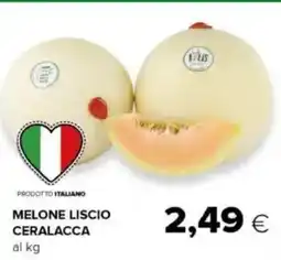 Oasi Melone liscio ceralacca offerta