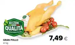 Oasi Selezione qualita gran pollo offerta