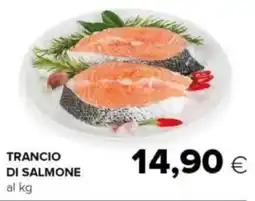 Oasi Trancio di salmone offerta