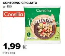 Oasi Consilia contorno grigliato offerta