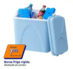 Action Borsa frigo rigida offerta