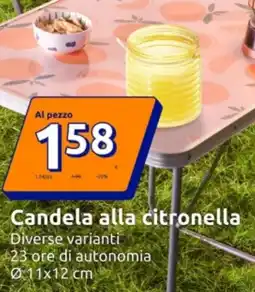 Action Candela alla citronella offerta