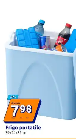 Action Frigo portatile offerta