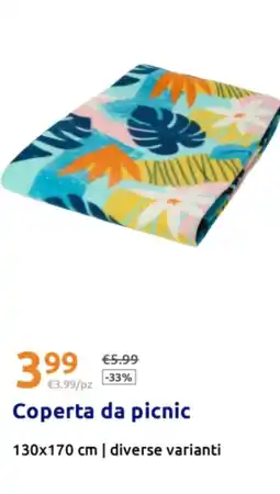Action Coperta da picnic offerta