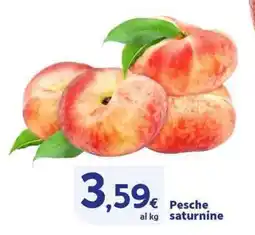 Sigma Superstore Pesche saturnine offerta
