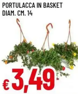 A&O Portulacca in basket diam. cm. 14 offerta