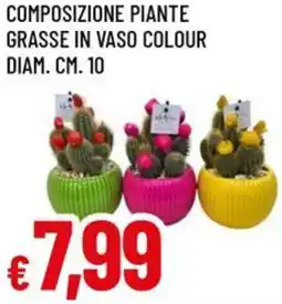 A&O Composizione piante grasse in vaso colour diam. cm. 10 offerta