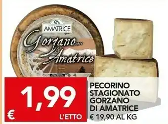 TuoDi Gorzano di amatrice pecorino stagionato offerta