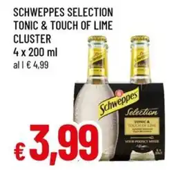 A&O Schweppes selection tonic & touch of lime cluster offerta