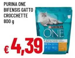 A&O Purina one bifensis gatto crocchette offerta