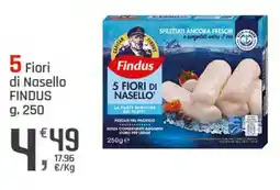 Supermercati Dok 5 Fiori di Nasello FINDUS offerta