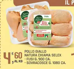 Supermercati Dok Pollo giallo natura chiama SELEX offerta
