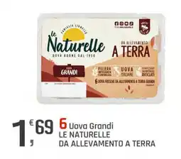 Supermercati Dok 6 uova grandi le naturelle da allevamento a terra offerta