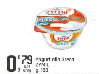 Supermercati Dok Yogurt alla Greca ZYMIL offerta