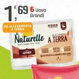 Supermercati Dok Le Naturelle 6 Uova Grandi offerta