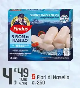 Supermercati Dok Findus 5 Fiori di Nasello offerta