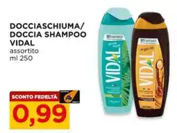 Alì Supermercati Docciaschiuma/ doccia shampoo VIDAL offerta