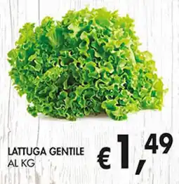 èccoMI Lattuga gentile offerta