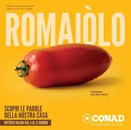 Conad Pomodoro oblungo rosso offerta