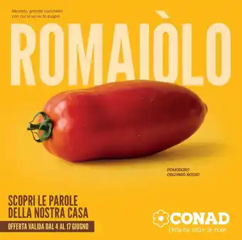 Pomodoro oblungo rosso