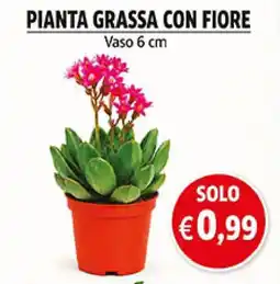 èccoMI Pianta grassa con fiore offerta