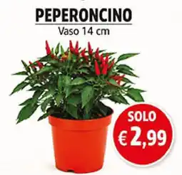 èccoMI Peperoncino offerta