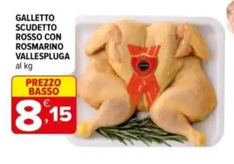 Galletto scudetto rosso con rosmarino vallespluga