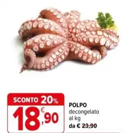 Iperal Polpo decongelato offerta