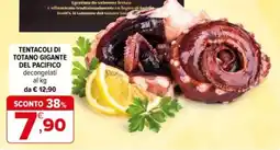 Iperal Tentacoli di totano gigante del pacifico offerta