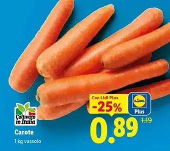 Lidl Carote offerta