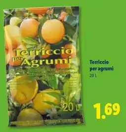 Lidl Terriccio per agrumi offerta