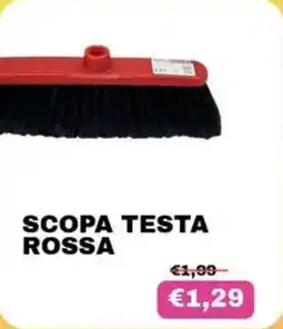 KOKO Emporio Scopa testa rossa offerta