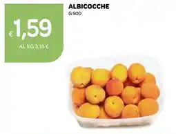 Ekom Albicocche offerta