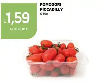 Ekom Pomodori piccadilly offerta
