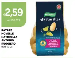 Ekom Patate novelle naturella antonio RUGGIERO offerta