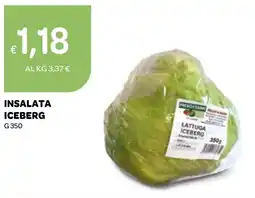 Ekom Insalata iceberg offerta