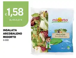 Ekom Insalata arcobaleno MIOORTO offerta