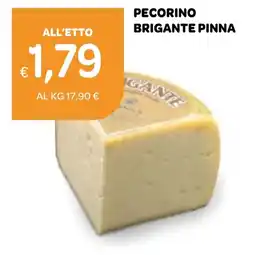 Ekom Pecorino brigante pinna offerta