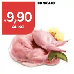 Ekom Coniglio offerta