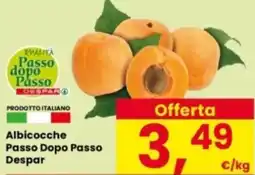 Interspar Albicocche Passo Dopo Passo Despar offerta