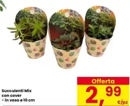 Interspar Succulenti Mix con cover offerta