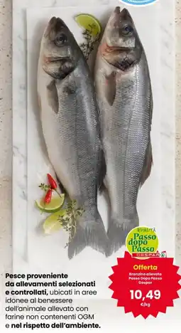 Interspar Branzino allevato Passo Dopo Passo Despar offerta