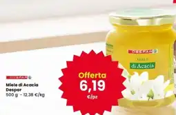Interspar Miele di Acacia Despar offerta